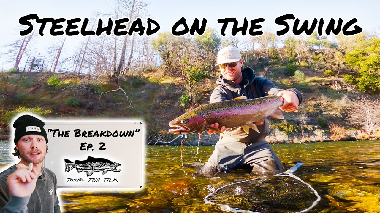 Use this Method to Catch MORE Steelhead on the Swing | The Breakdown Ep. 2