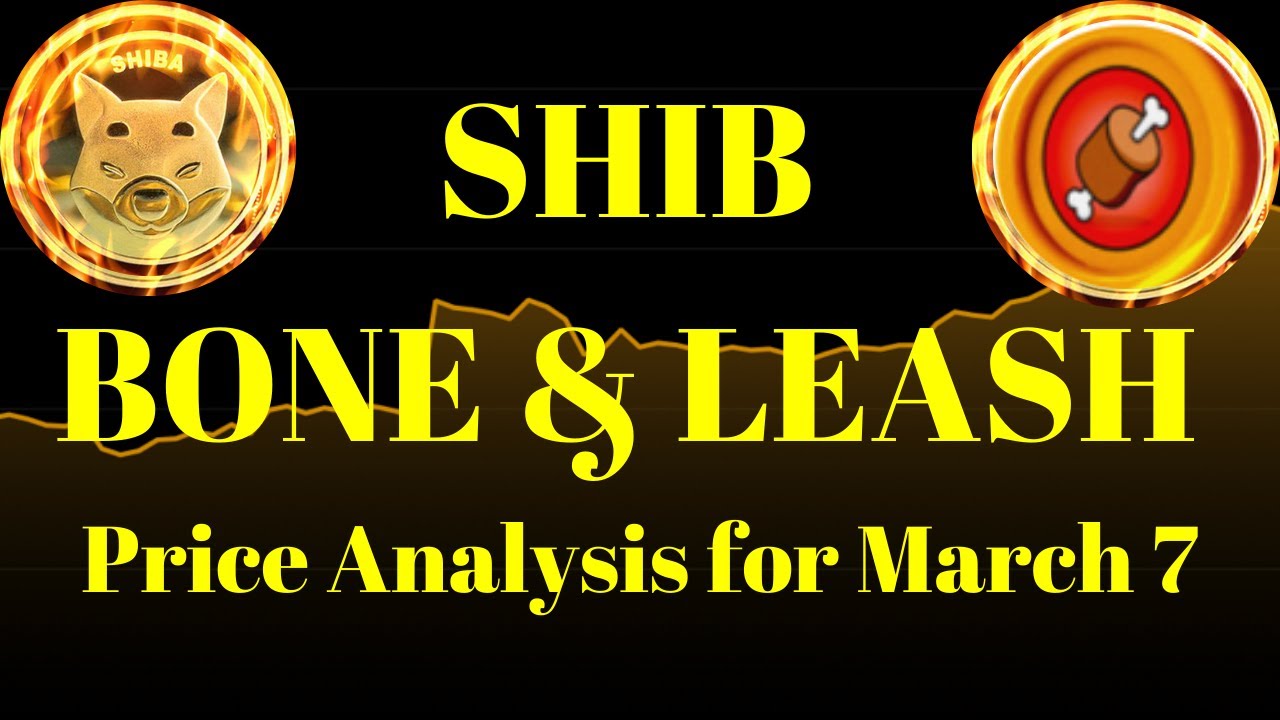 Breaking Crypto News | SHIB, LEASH and BONE Price Analysis for March 7