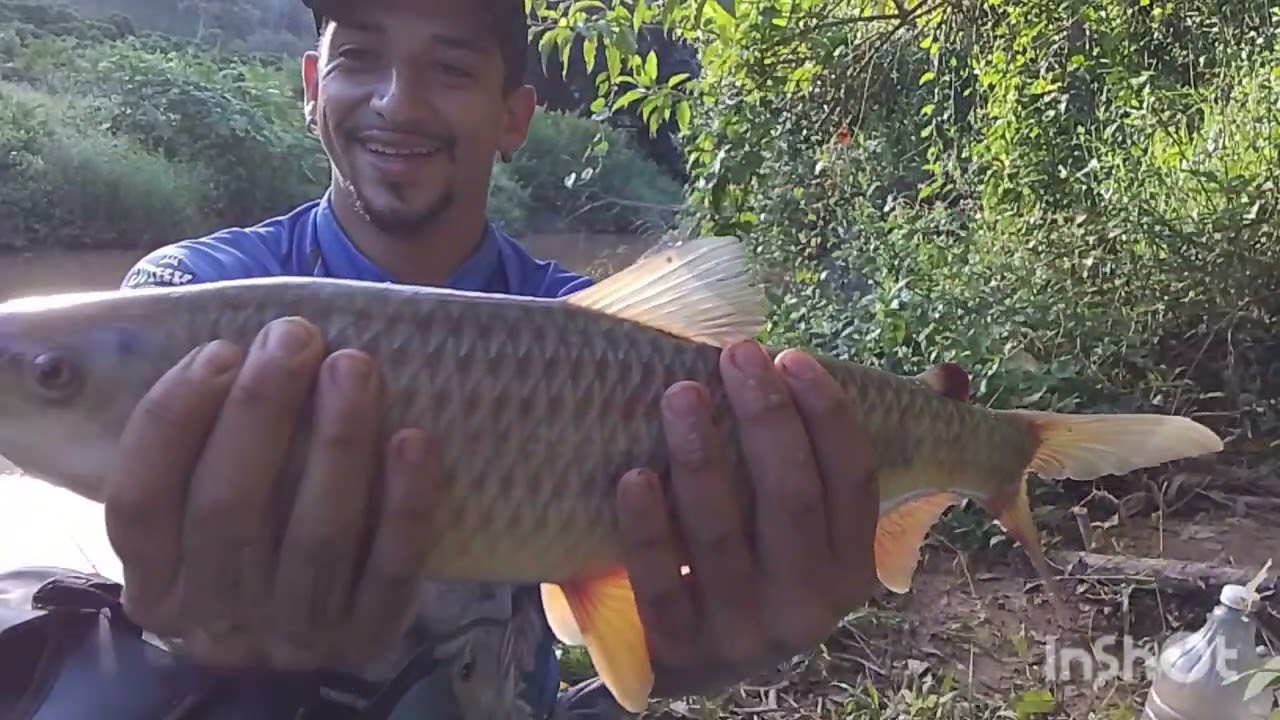 Pescaria na seva saiu os piau🎣