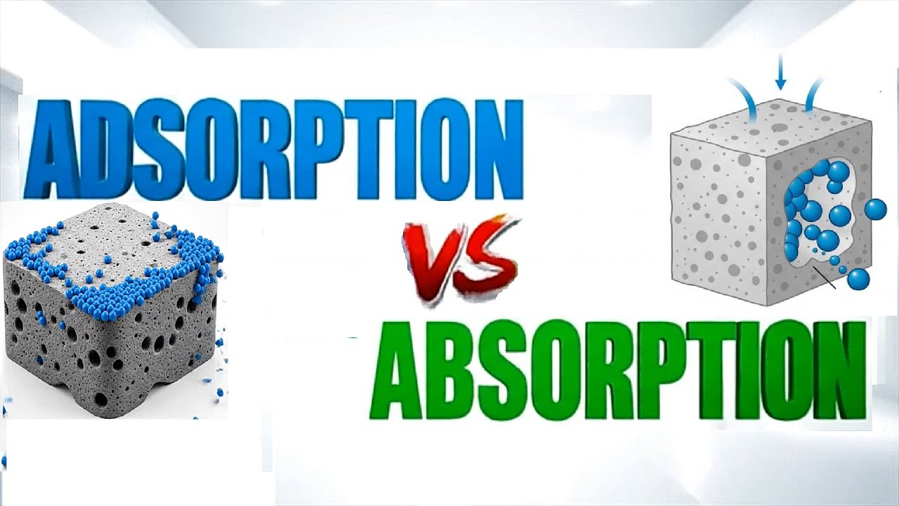 Adsorption vs Absorption