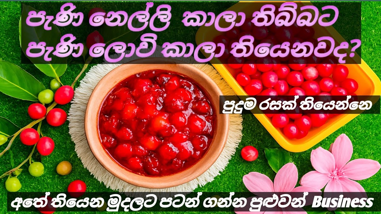 පැණි ලොවි චප්පචොරප්ප  හදමු /රස වෙනසක් කරමු@TheFlavorSecret 