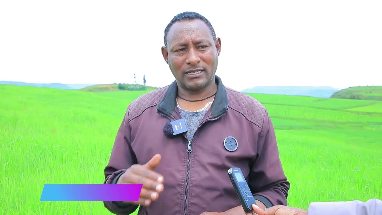 ደብረ ብርሃን ከተማ የግብርና ልማት እንቅስቃሴ በከፊል