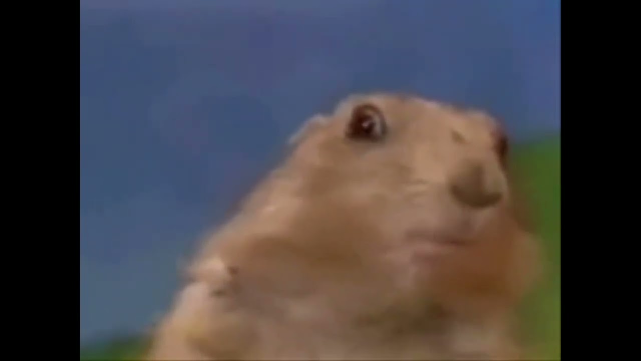 Shock Reaction Meme Template