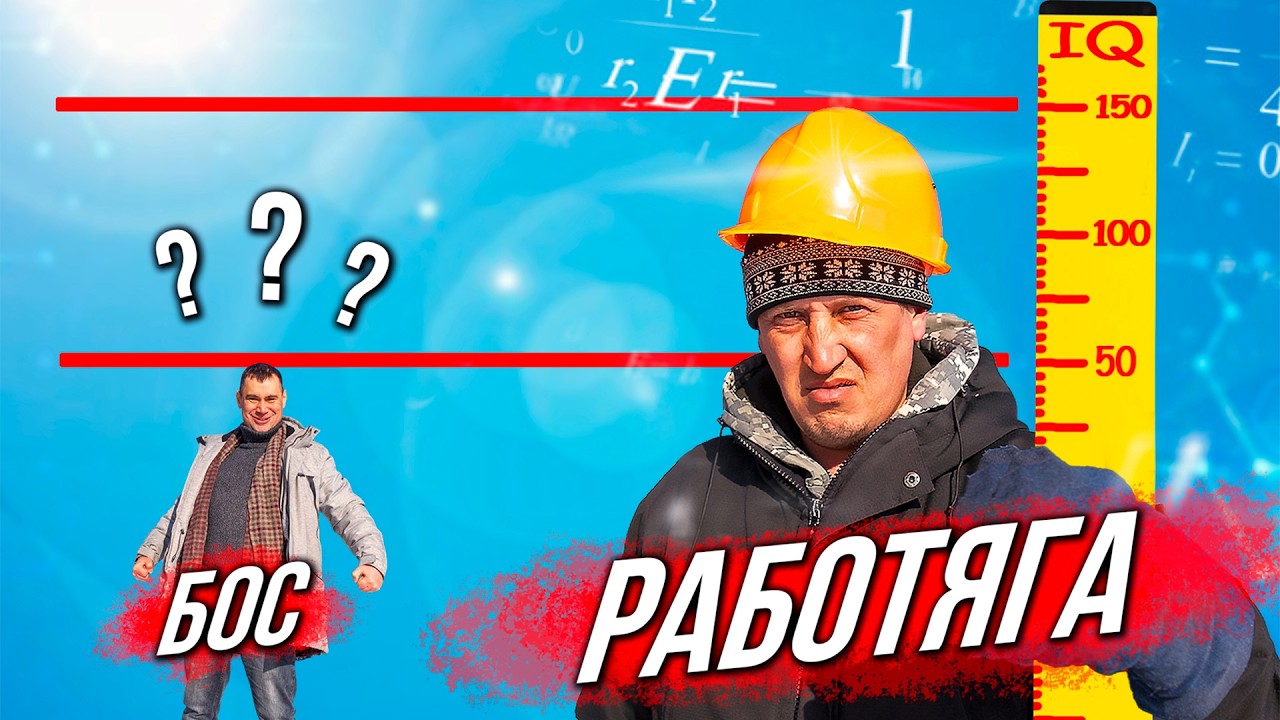 Когда работяга умнее начальника