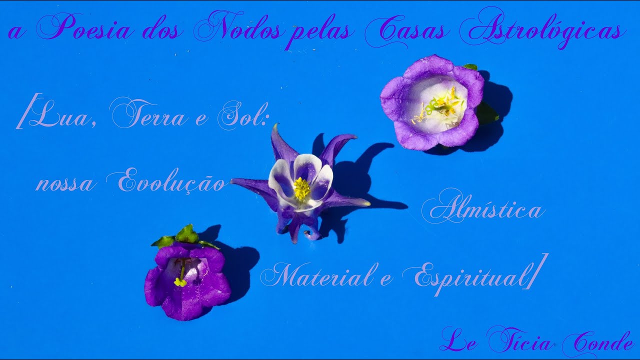 a Poesia dos Nodos pelas Casas Astrológicas [Lua, Terra e Sol: nossa Evolução] . : .Le Tícia Conde
