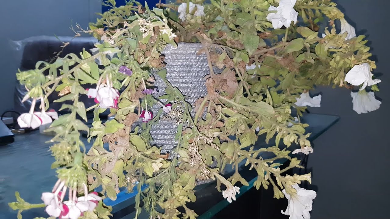 Flower pot making from rope and cement | How to make flower pot | Crafts With Riasat