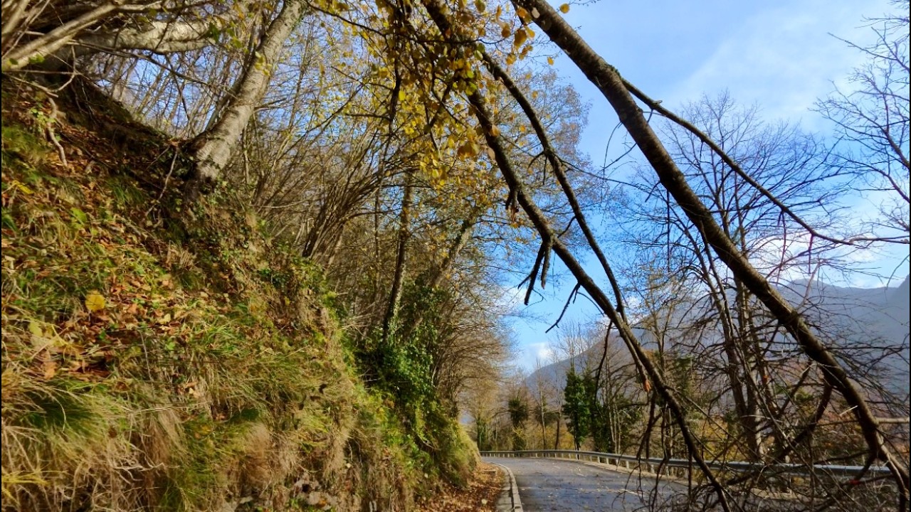 🌬️Windy 🌲Mountain 🚗Drive