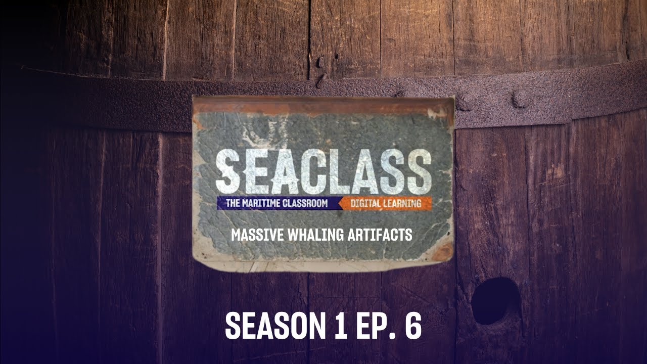 SeaClass | Massive Whaling Artifacts