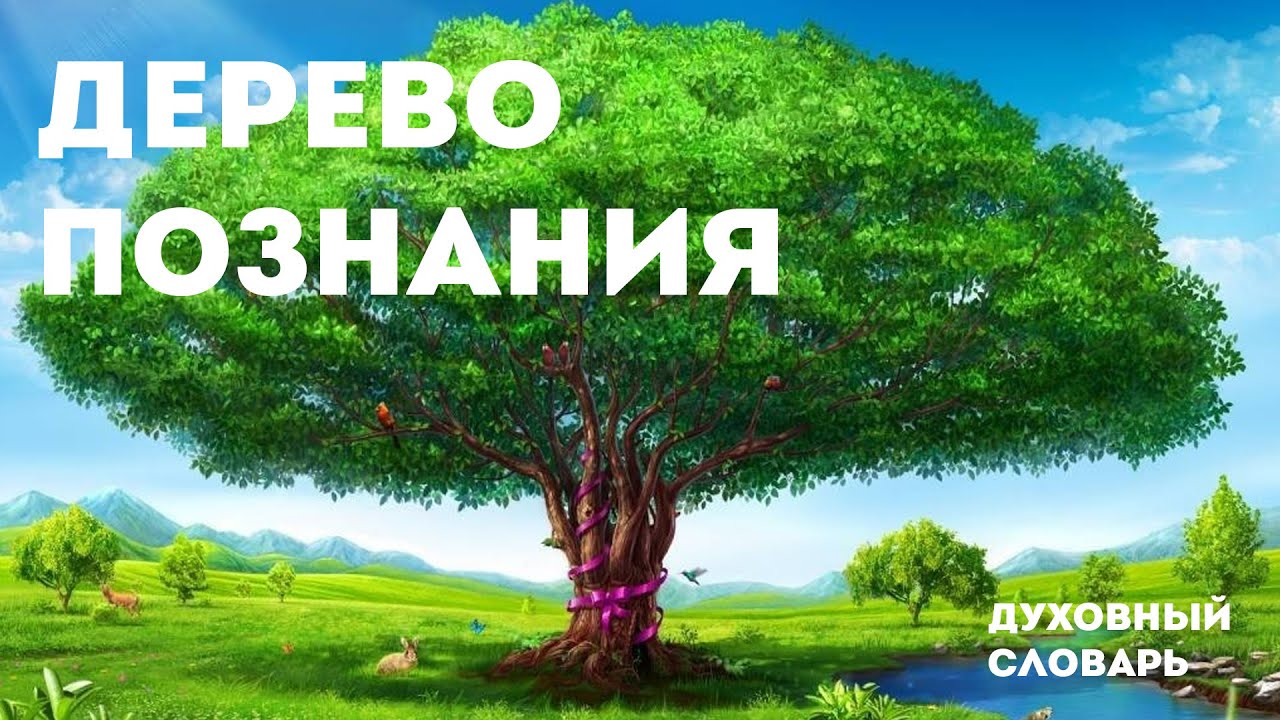 Дерево Познания | Духовный словарь | Уроки ЧистоПисания