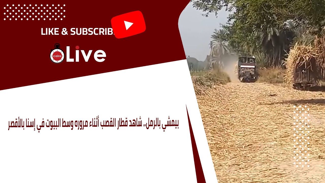 بيمشي بالرمل.. شاهد قطار القصب أثناء مروره وسط البيوت في إسنا بالأقصر