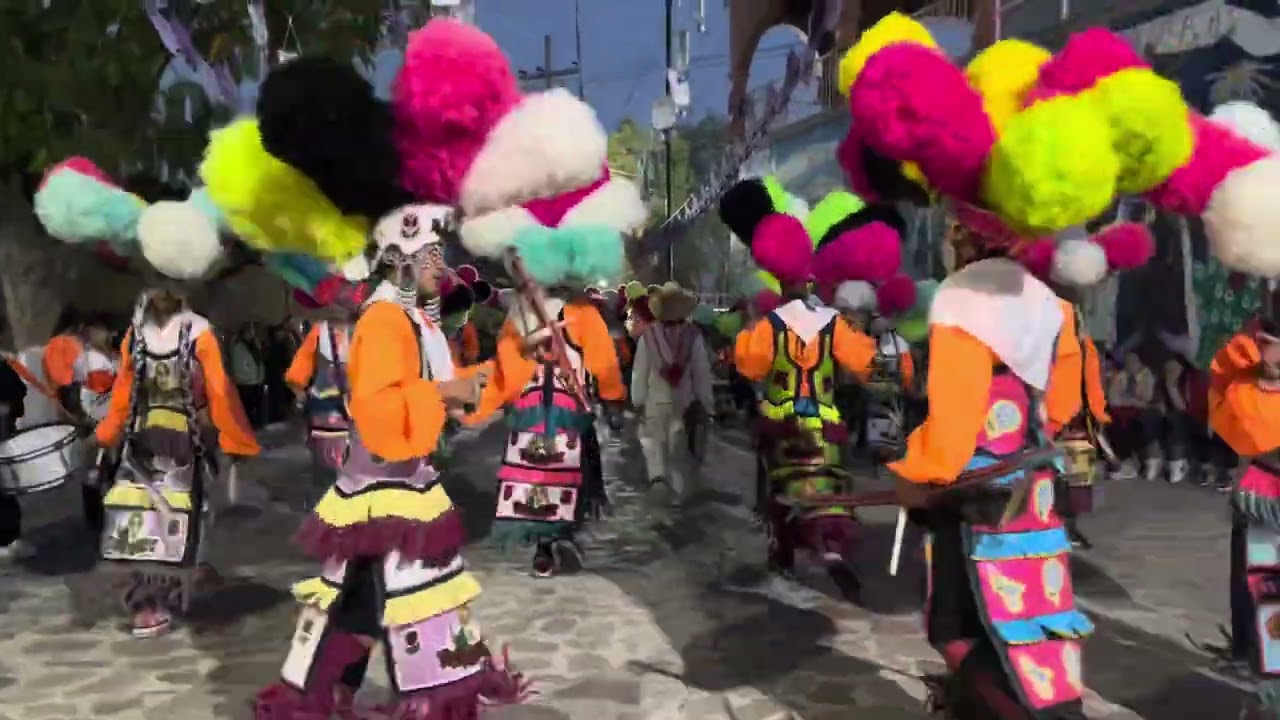 Tadeos en el Chipinque de arriba 2026 