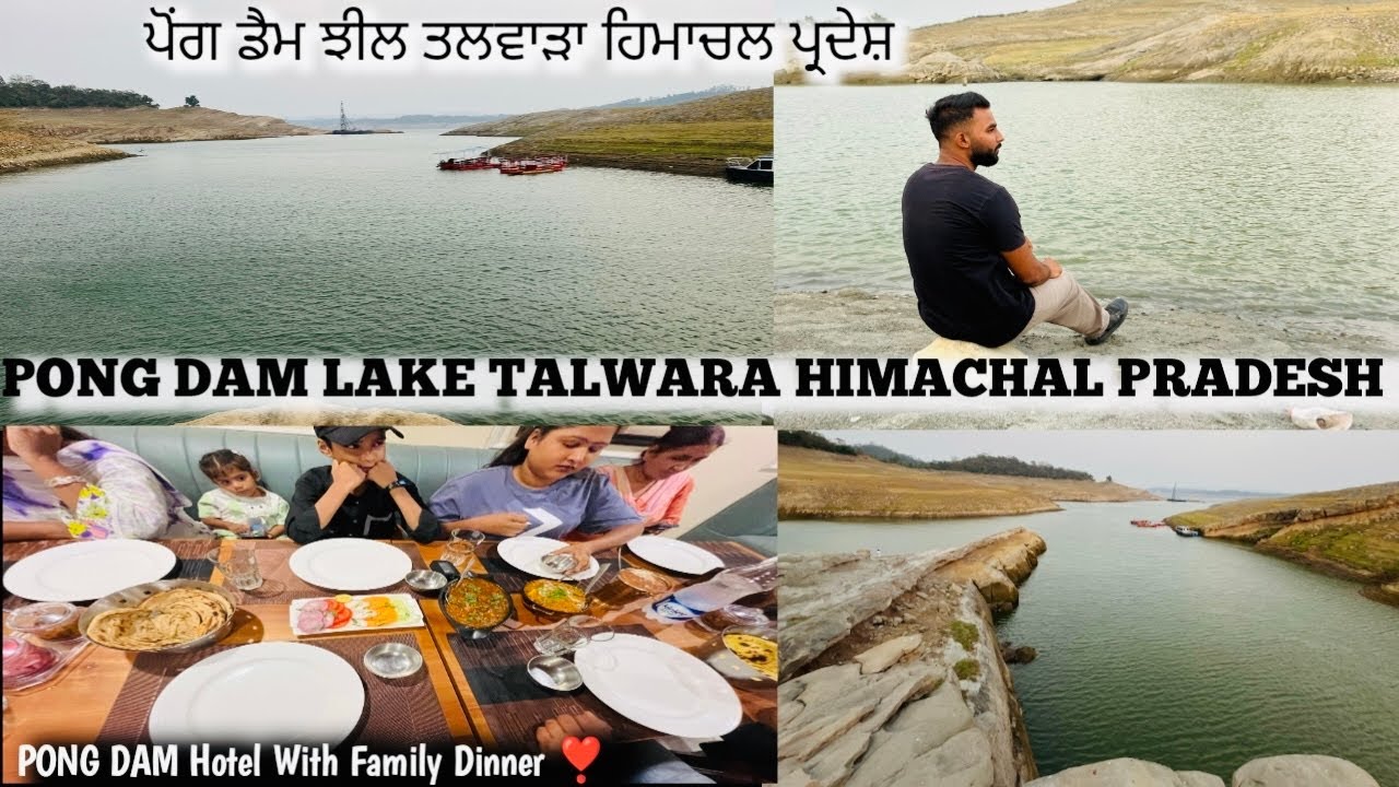 ਪੋਂਗ ਡੈਮ ਝੀਲ ਤਲਵਾੜਾ ਹਿਮਾਚਲ ਪ੍ਰਦੇਸ਼ | PONG DAM LAKE TALWARA HIMACHAL PRADESH❤️Pong dam Video#talwara