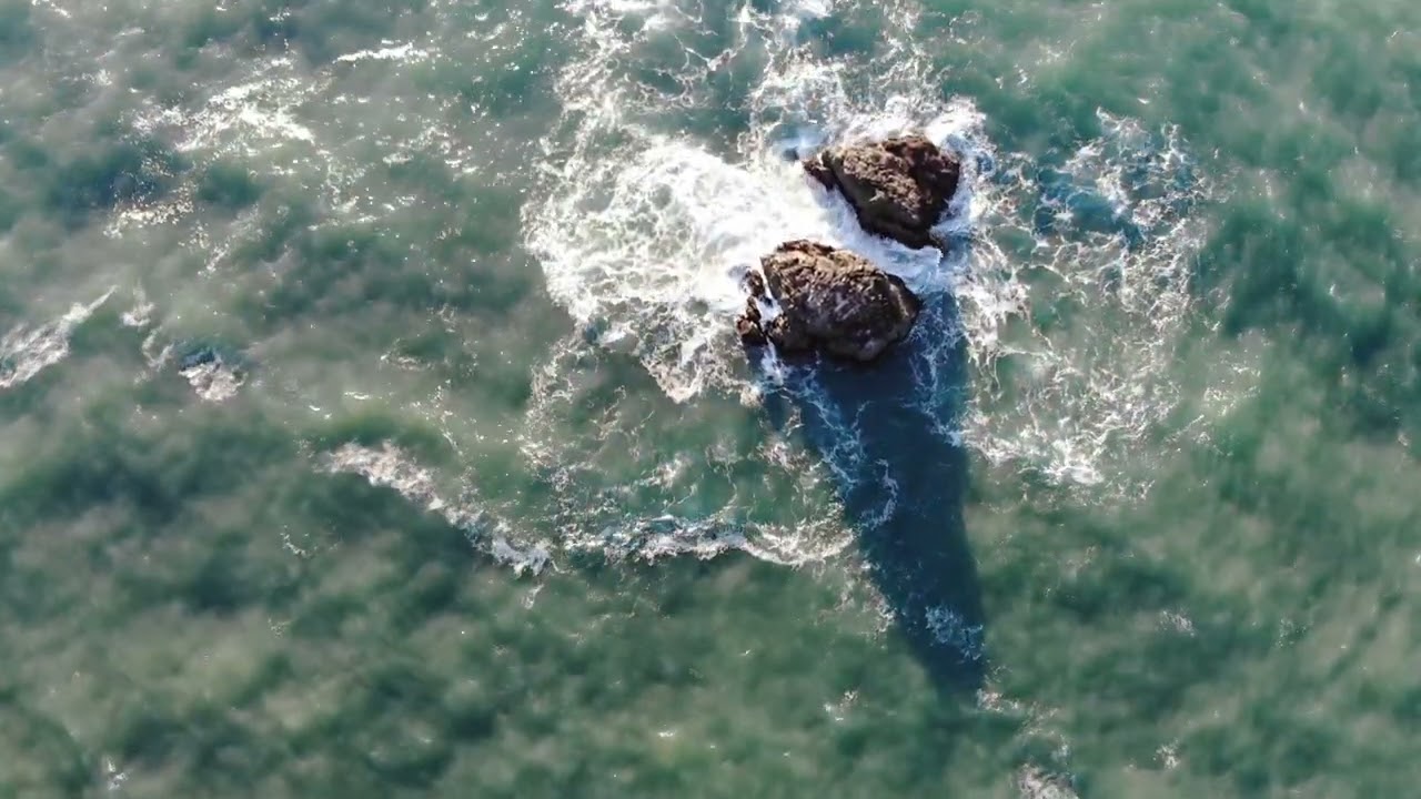 Drone over Gleason Beach