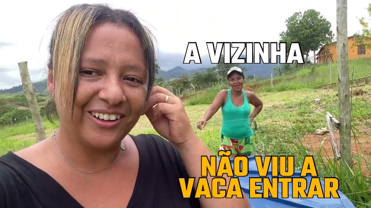 O Pedreiro não pode vir trabalhar, a Vaca quer comer meu coqueiro