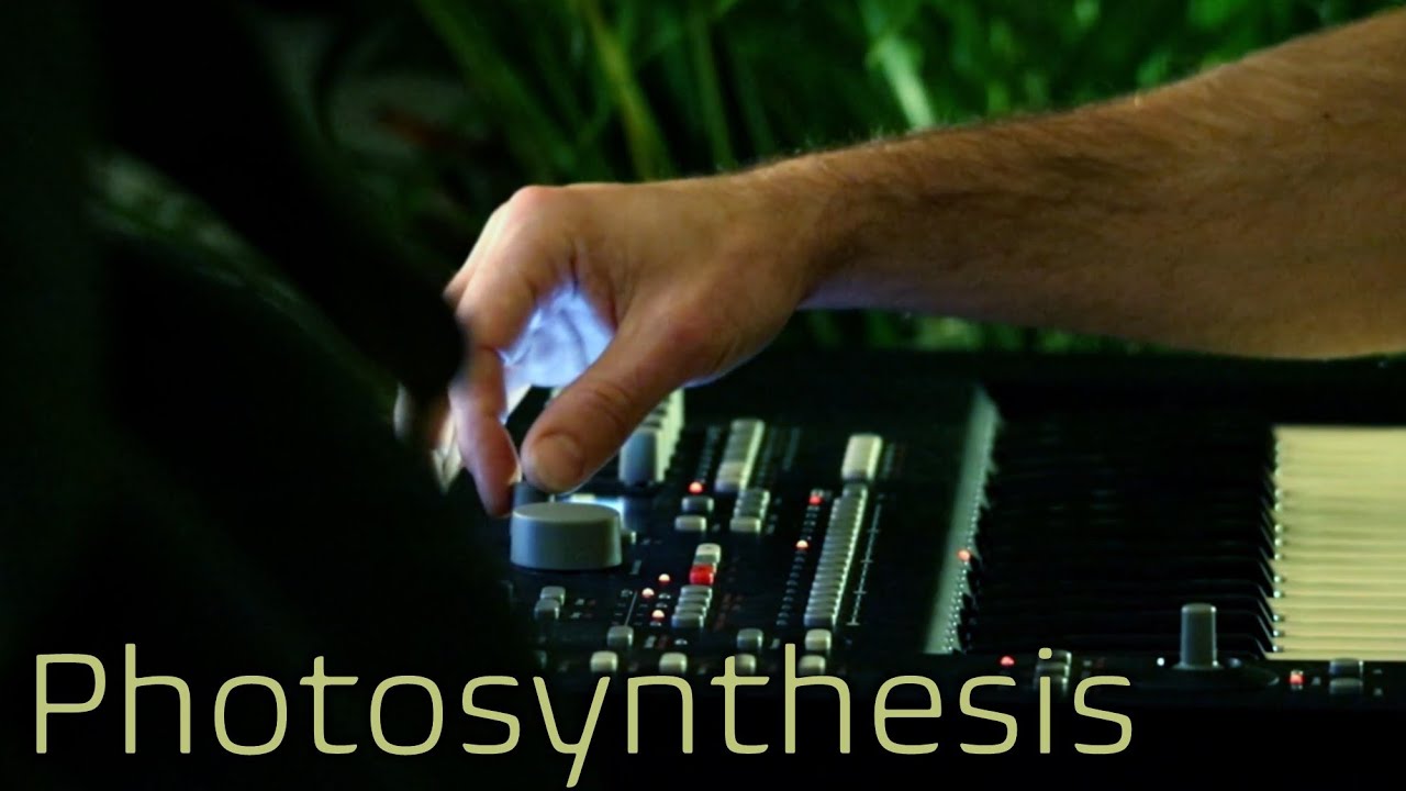 Elektron Analog Keys - Improvised Ambient