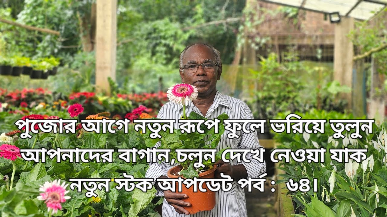পুজোর আগে নতুন রূপে ফুলে ভরিয়ে তুলুন আপনাদের বাগান,চলুন দেখে নেওয়া যাক নতুন স্টক আপডেট পর্ব :  ৬৪।