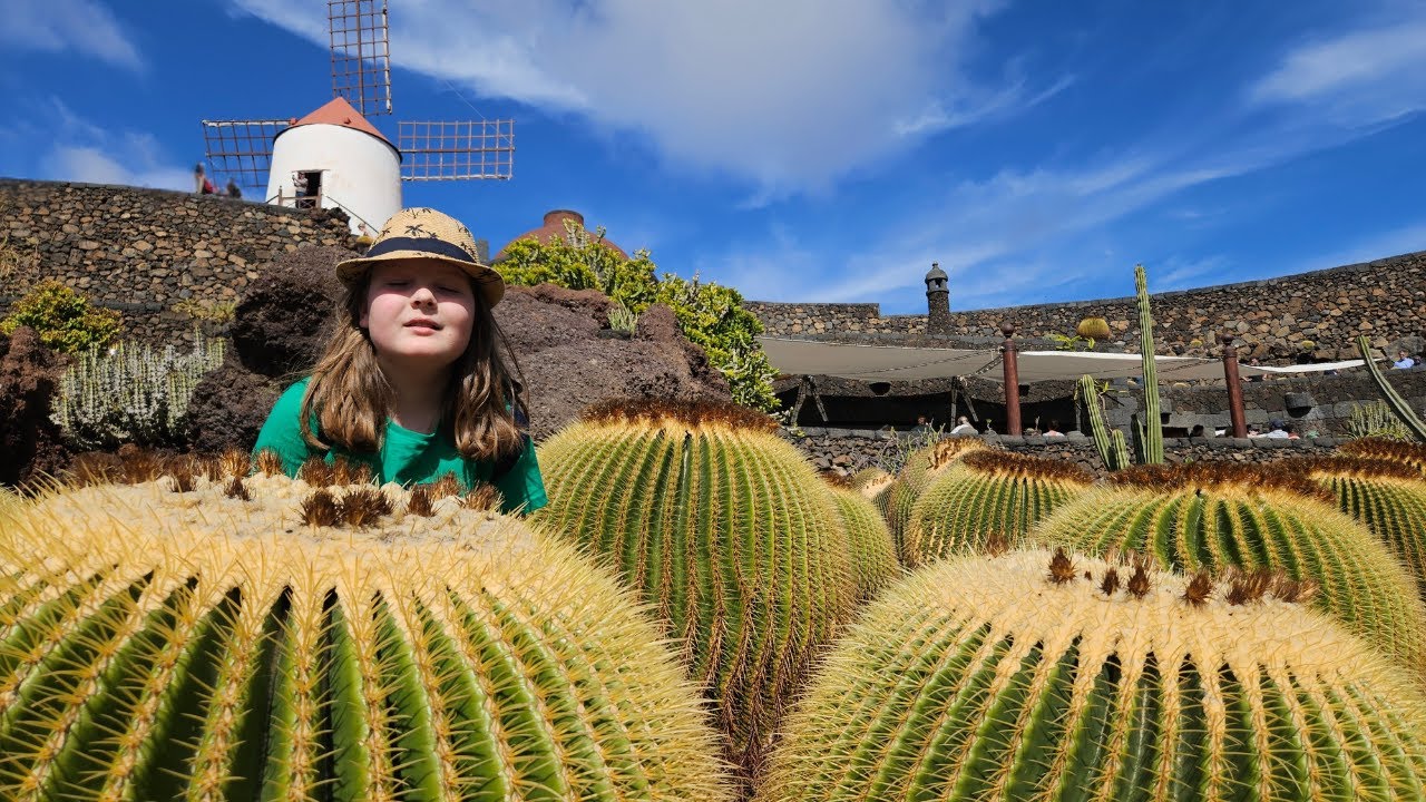 Jardín de Cactus: The World's Most Beautiful Cactus Garden