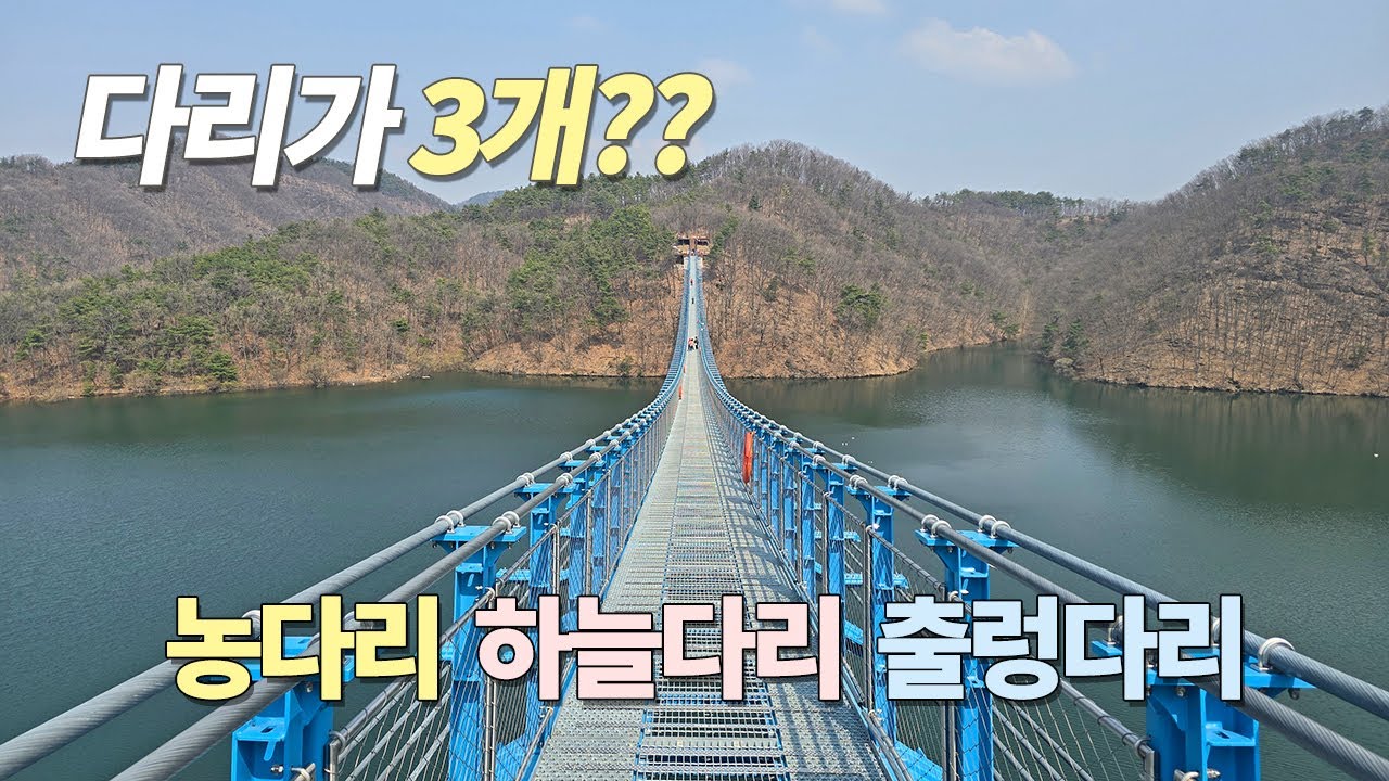 👀 다리가 3개? 👍농다리 하늘다리 출렁다리