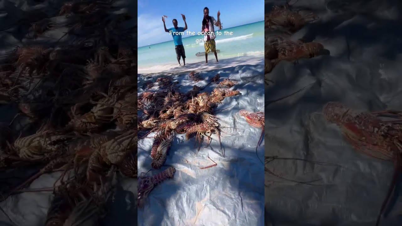 From the ocean to the grill