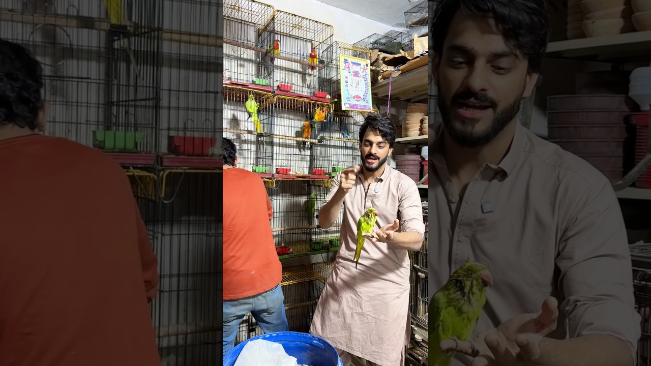 VISIT USAMA PETS