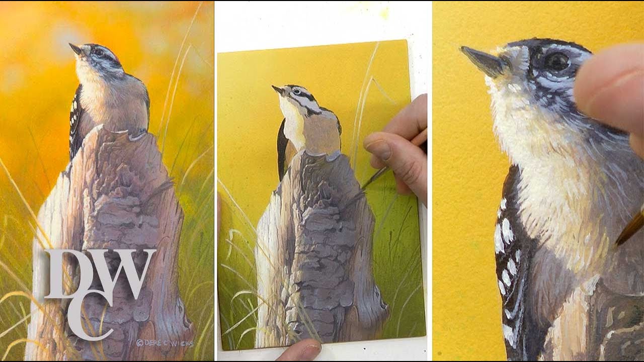 Learn To Paint Birds: Downy Woodpecker Part 1 - The underpainting/blocking in.