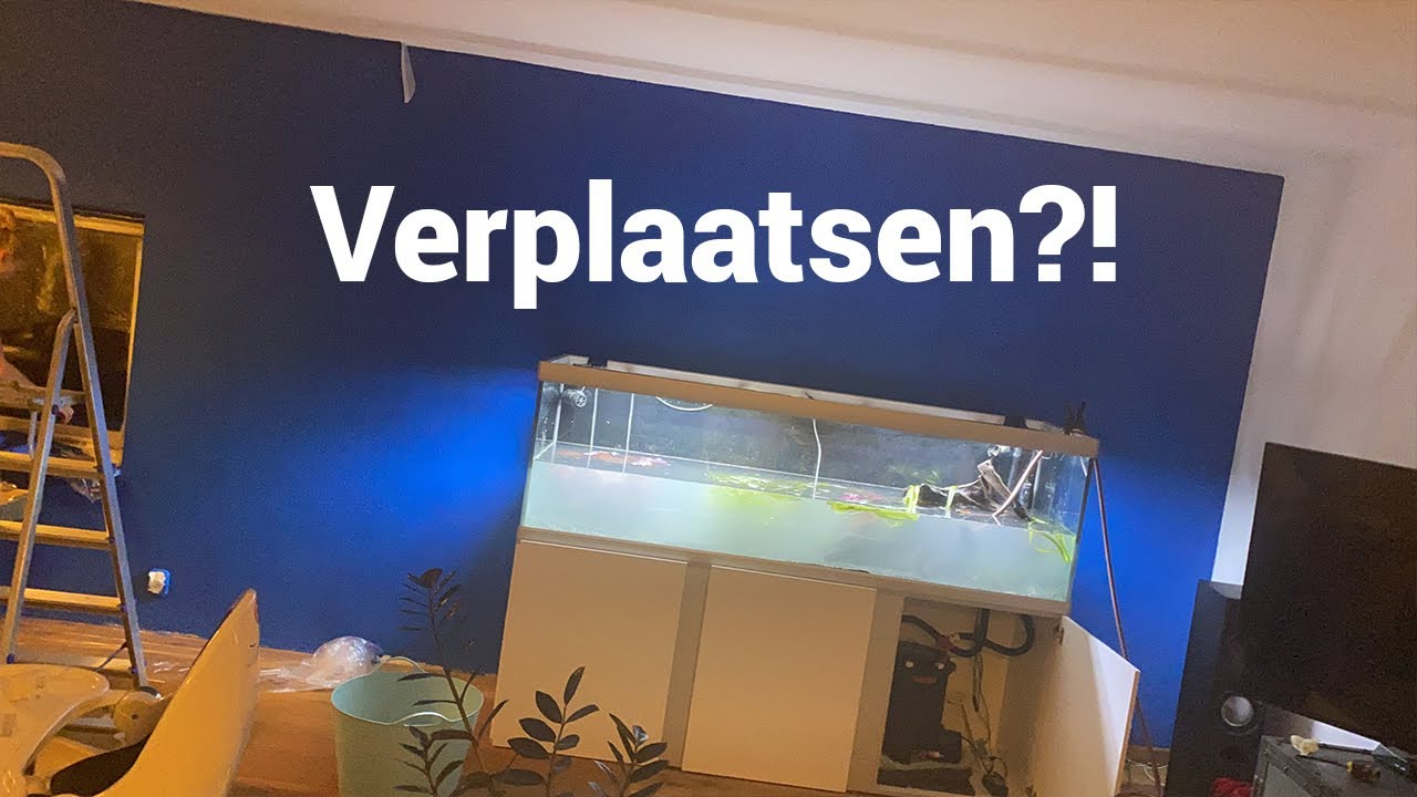 Aquarium leeghalen, verhuizen, verplaatsen of verschonen? Hoe doe je dit vis vriendelijk!
