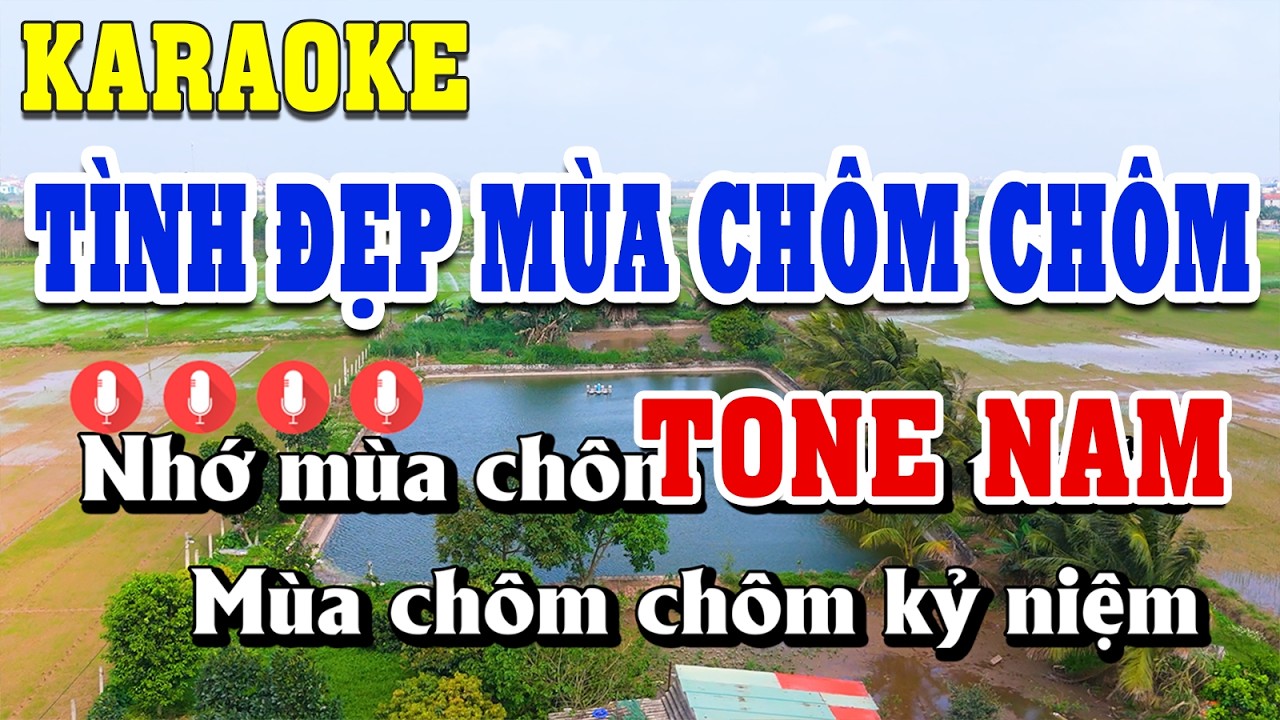 Tình Đẹp Mùa Chôm Chôm Karaoke Tone Nam ( Bm ) Beat Chuẩn | Linh Linh Karaoke