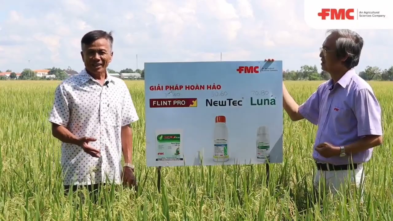 Ý KIẾN NÔNG DÂN VỀ BỘ GIẢI PHÁP PHÒNG TRỊ BỆNH HẠI LÚA VỤ | FLINTPRO - NEWTEC - LUNA® EXPERIENCE