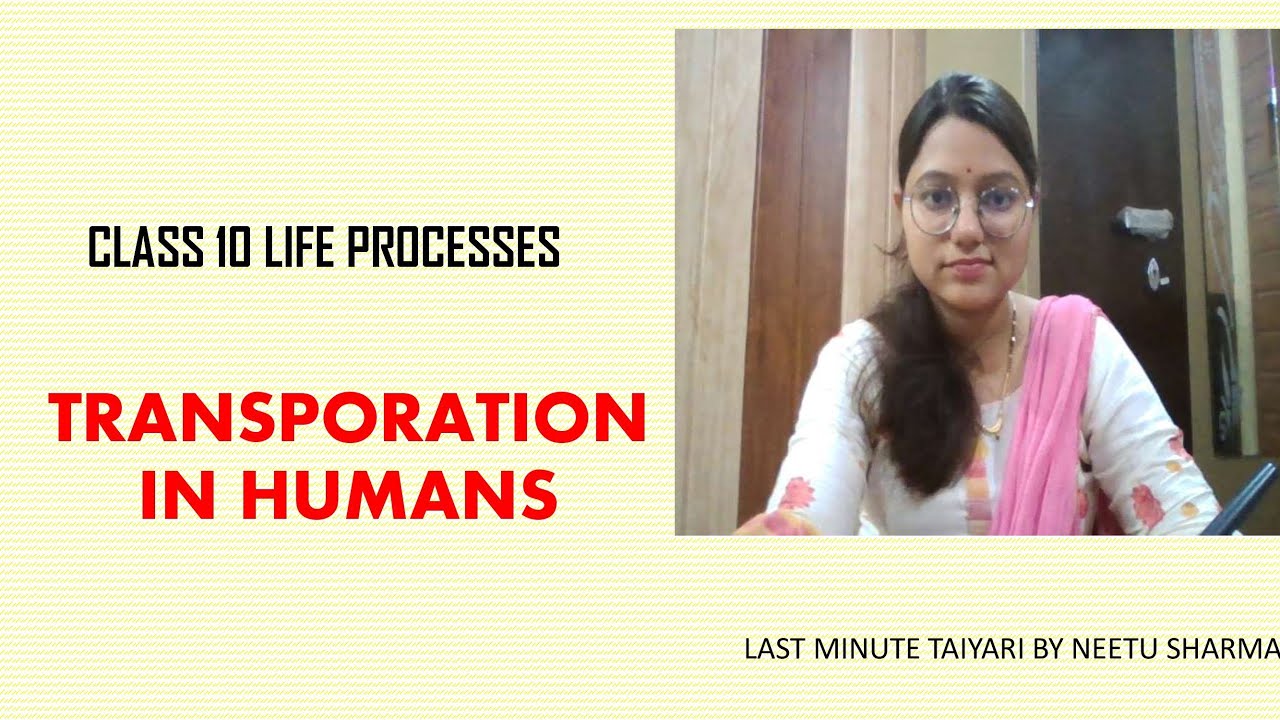 TRANSPORTATION IN HUMANS : CLASS 10
