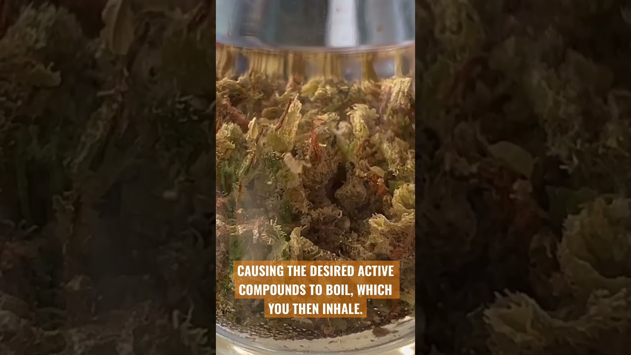 CLOSE UP OF CANNABIS VAPORIZATION 👀 VAPORIZERS EXPLAINED #education #convection #medical