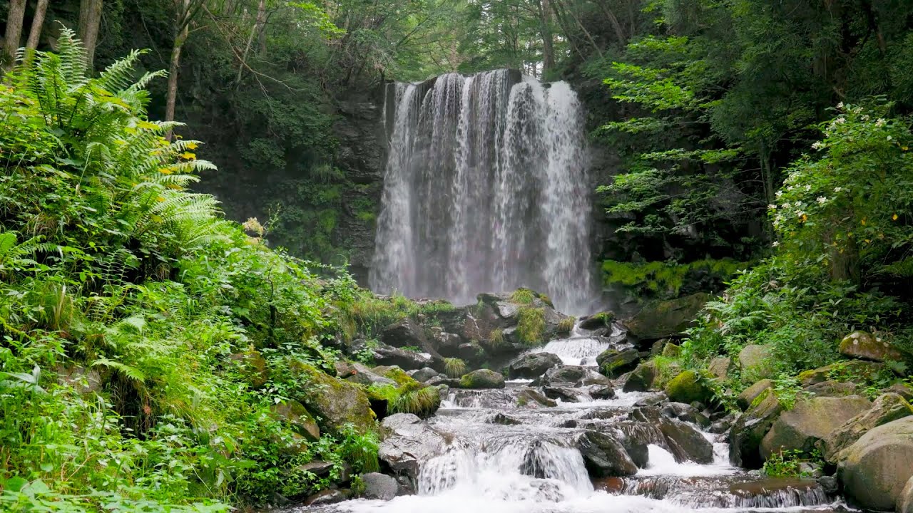 Waterfall Flowing in a Mountain Forest 24/7. Waterfall Sounds, Flowing Water. White Noise for Sleep.