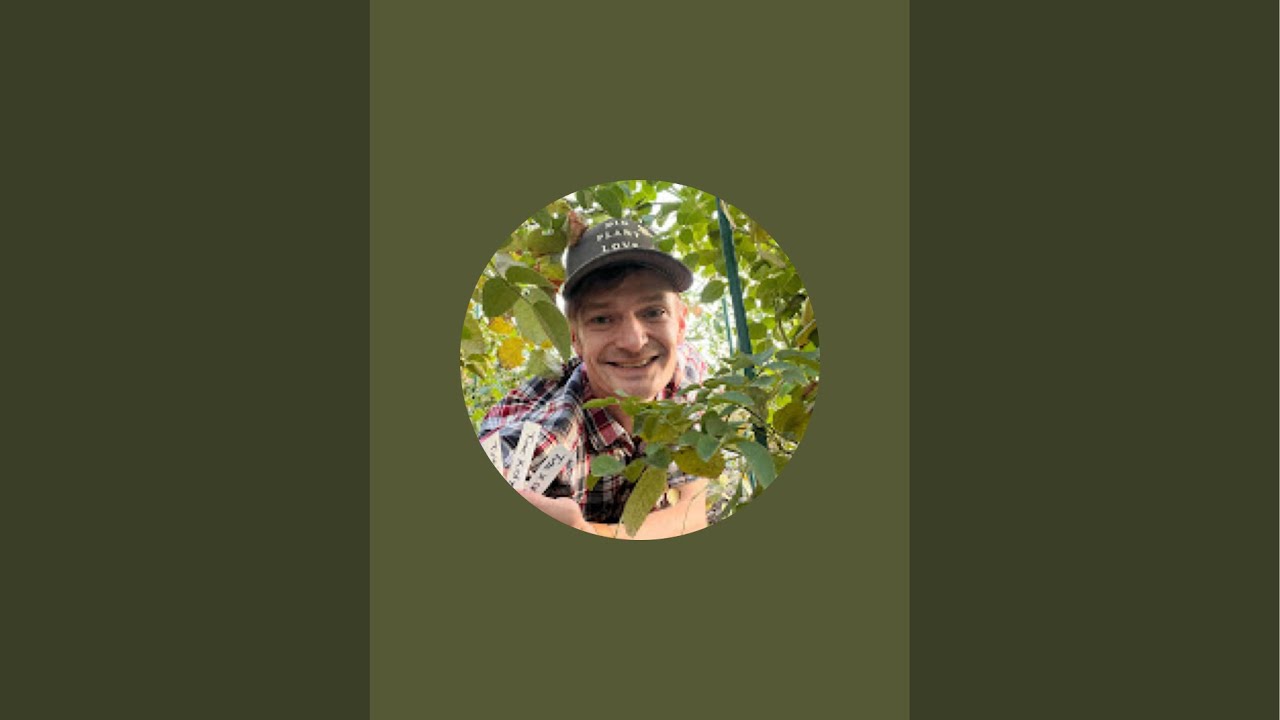 TheRoseDude is live in the greenhouse and working on rose seeds!