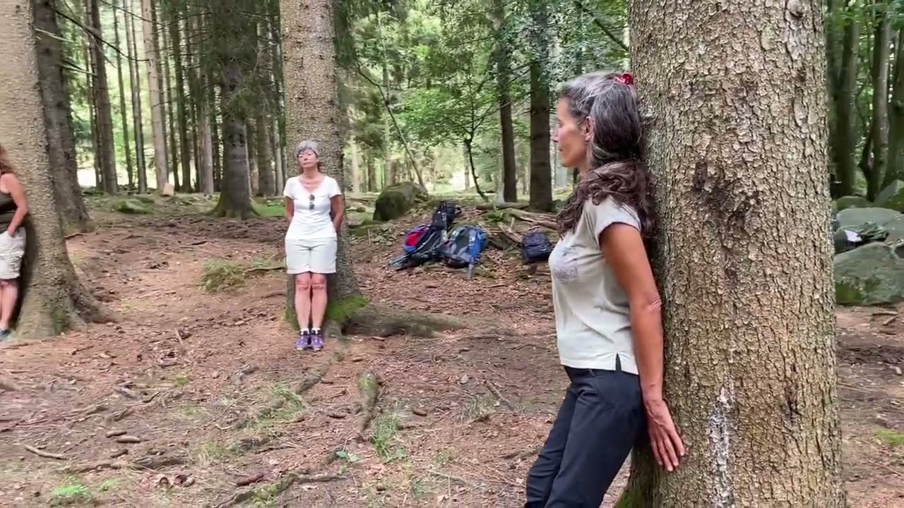 Forest Bathing Oasi Zegna - 23 e 24 luglio 2022