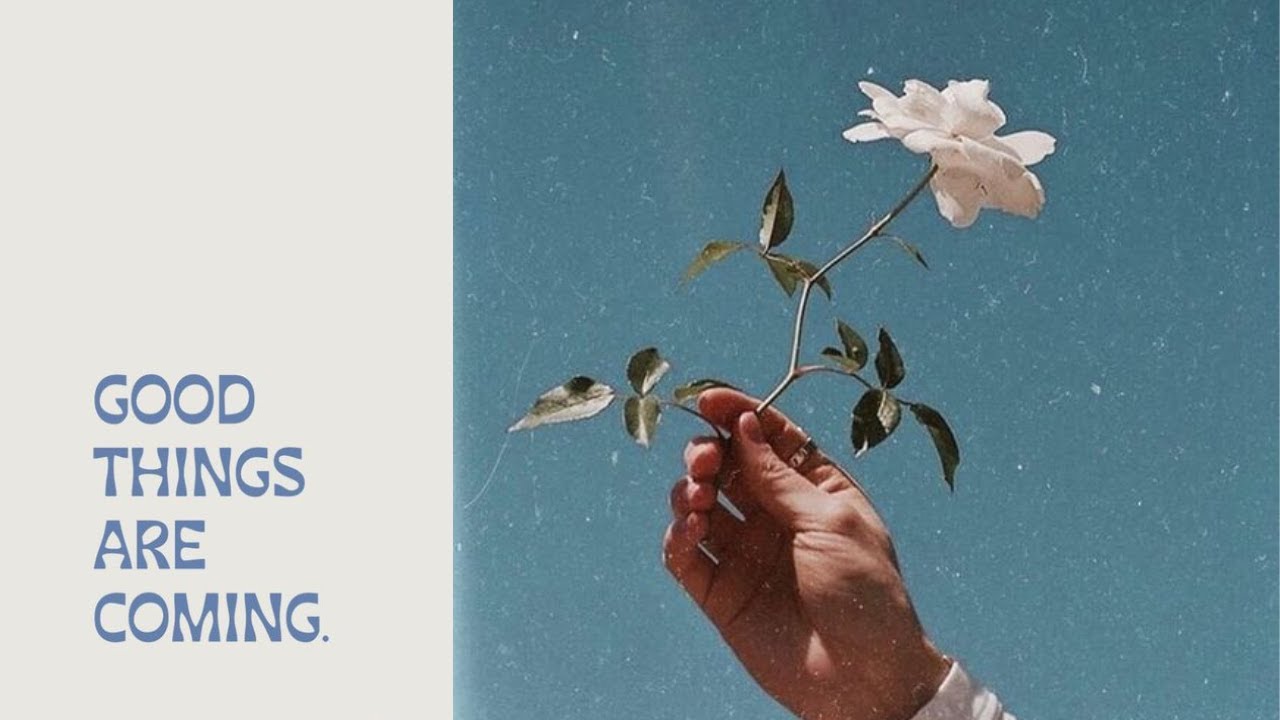 Receive Good News in the Next 24 Hours