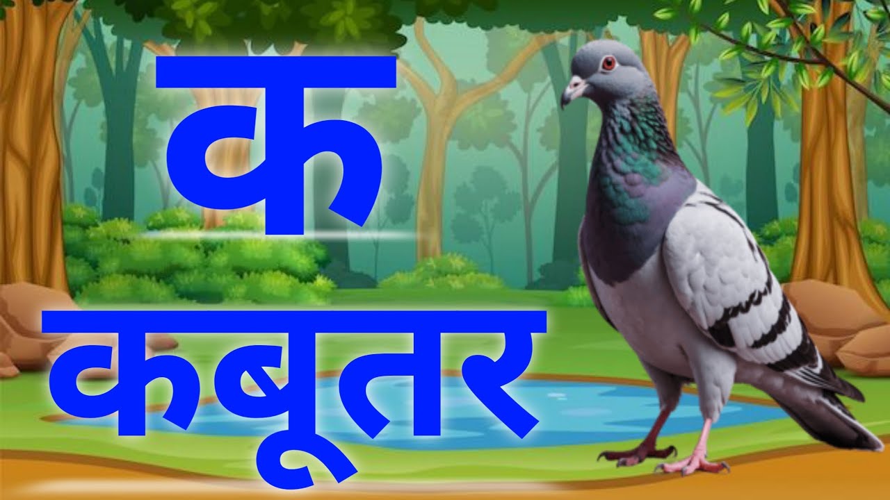 Learn Hindi Alphabets | क से कबूतर, ख से खरगोश | Hindi Balgeet | Aarav Aanvi Kids #aaravaanvikids 