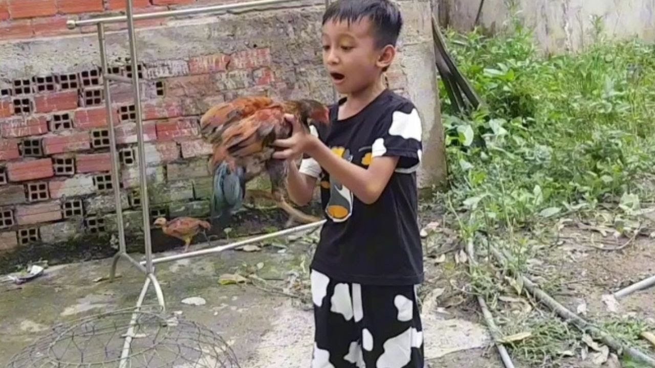 🌿 Thiên Sơn TV | Hai Bé Vừa Đuổi Gà Vừa Chọc Chó, Vui Cười Cả Ngày