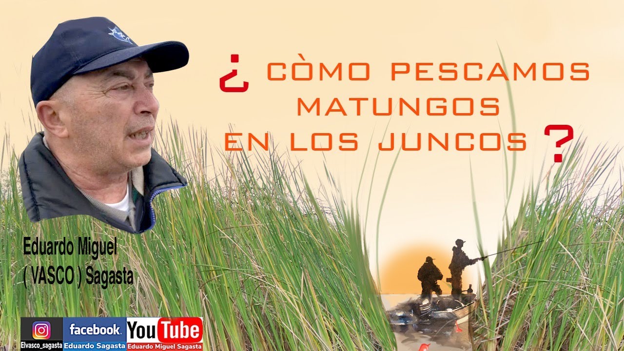 CÓMO PESCAMOS MATUNGOS EN LOS JUNCOS?