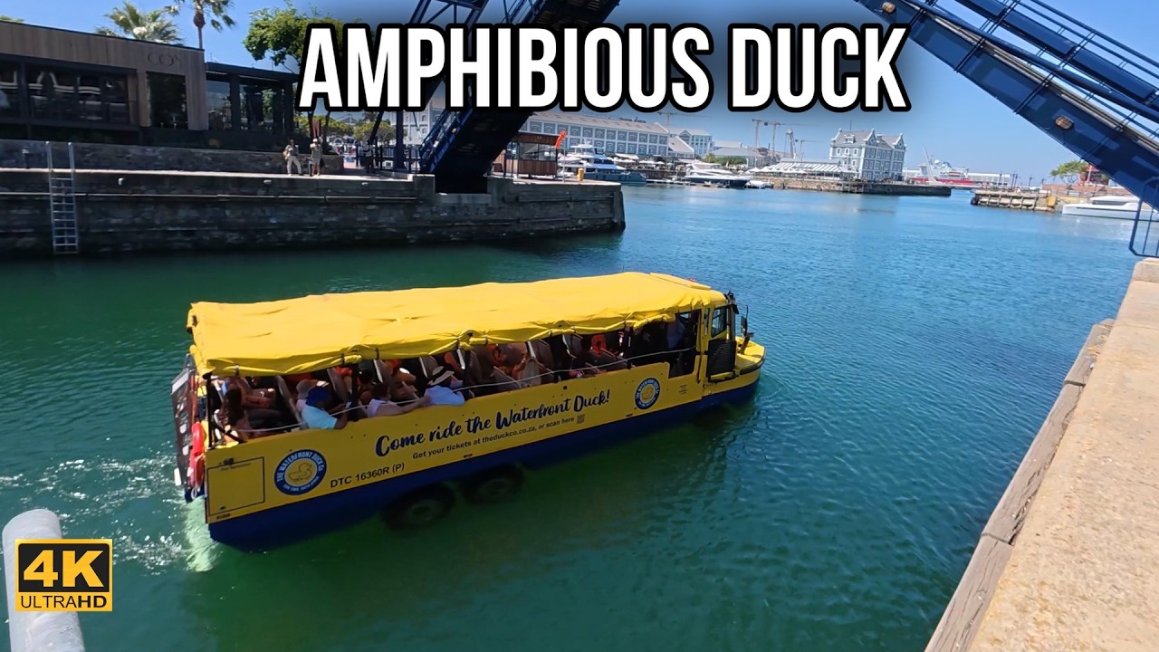 15 Minutes With the Amphibious Waterfront Duck | Calm Music & City Life