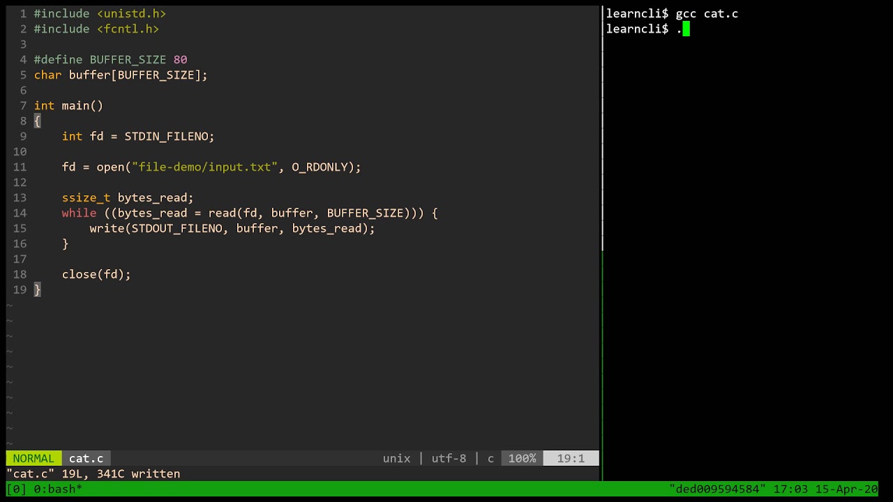 37.3 - Implementing a Simple cat Program