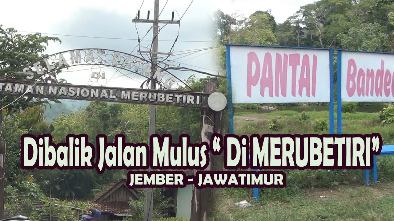 DI BALIK JALAN MULUS DI TAMAN NASIONAL MERUBETIRI JEMBER JAWATIMUR & PANTAI BANDEALIT