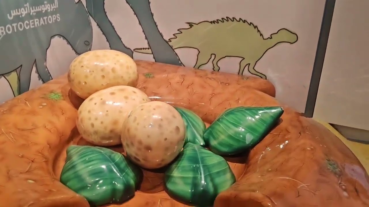 AGE OF THE DINOSAURS & GIANT MAMMALS | SCULPTED EARTH | NATURAL HISTORY THEATRE @atriplejvlogs 