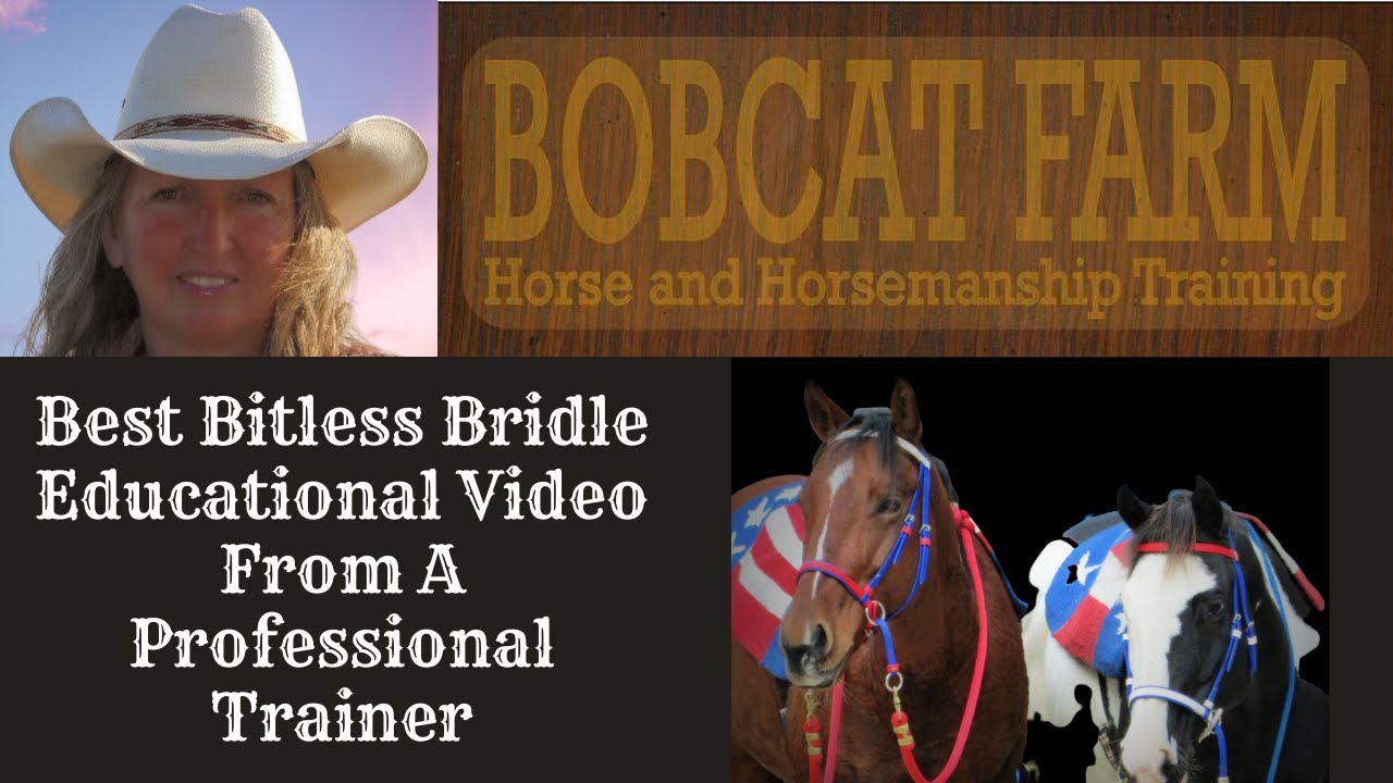 Best Bitless Bridle Educational Video From A Professional Trainer
