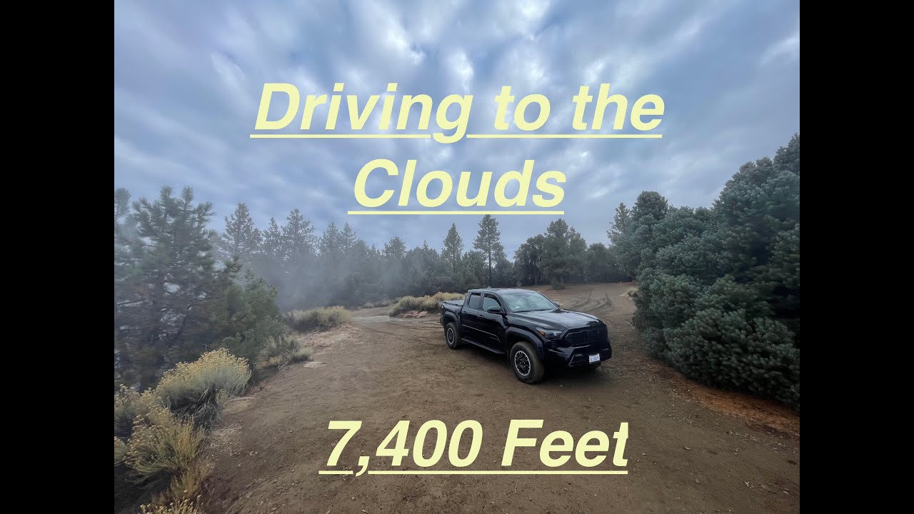 Testing the 2024 Toyota Tacoma Off Road with my Dog at 7,400 Feet