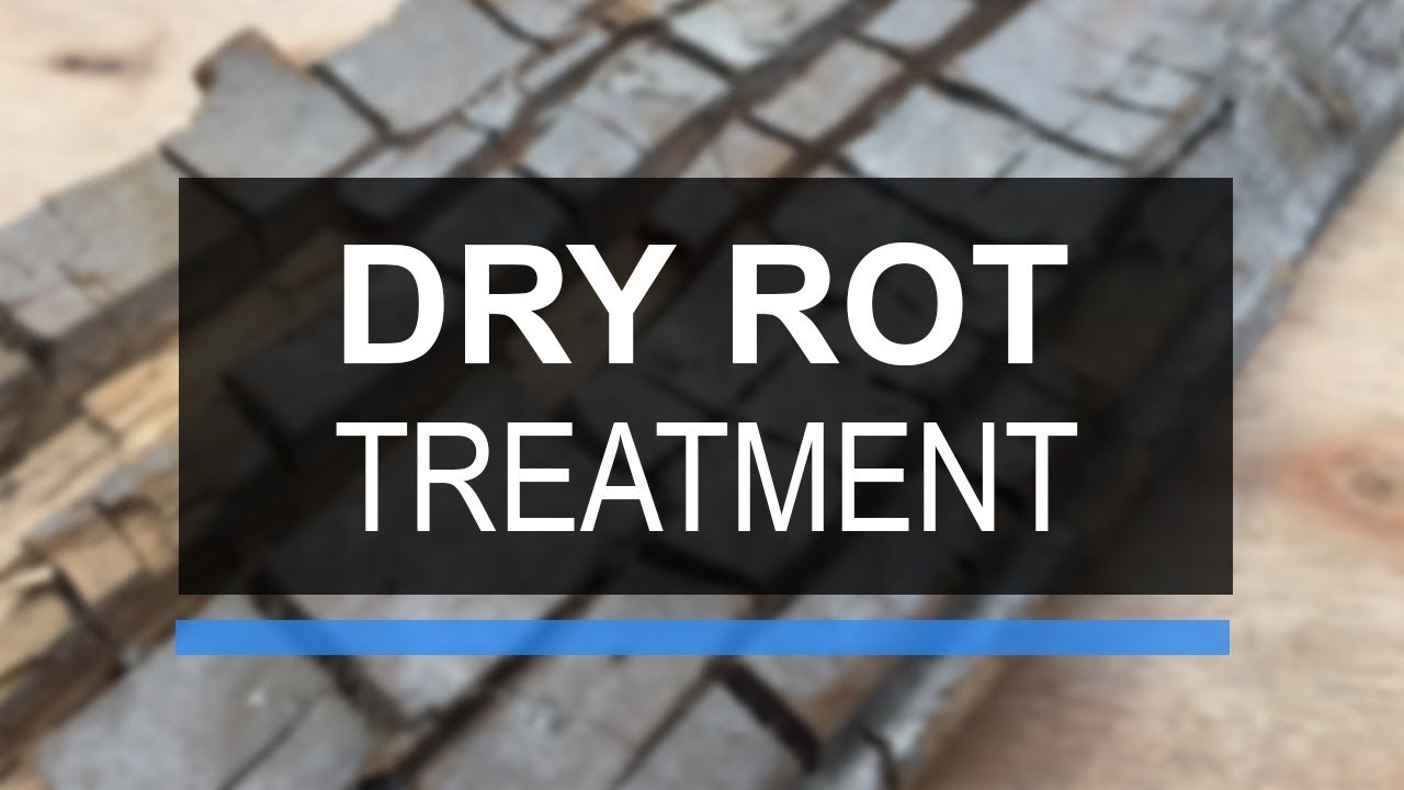 Dry Rot Treatment | Richardson & Starling