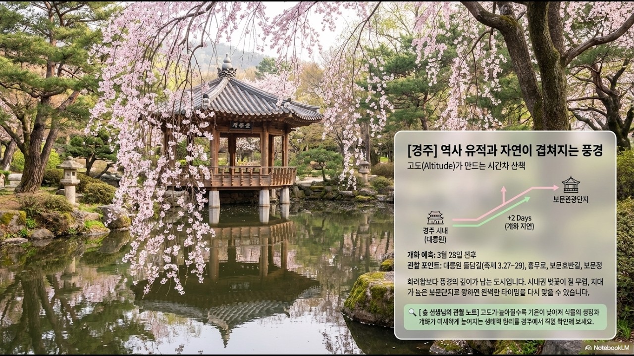 2026 벚꽃축제 봄, 자연이 그리는 벚꽃 지도