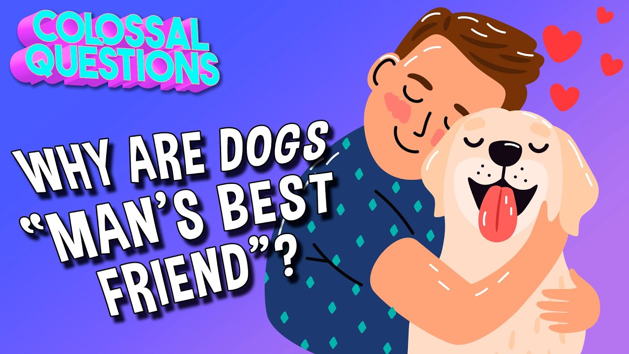 Why Are Dogs &ldquo;Man&rsquo;s Best Friend&rdquo;? | COLOSSAL QUESTIONS