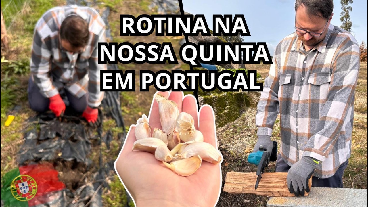 ELES PLANTARAM MAIS ALHO E FORAM BUSCAR LENHA