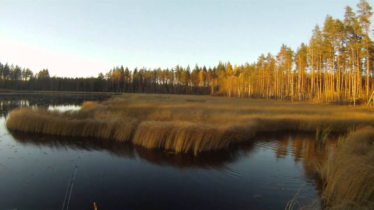 Kalastusta Isojärvellä