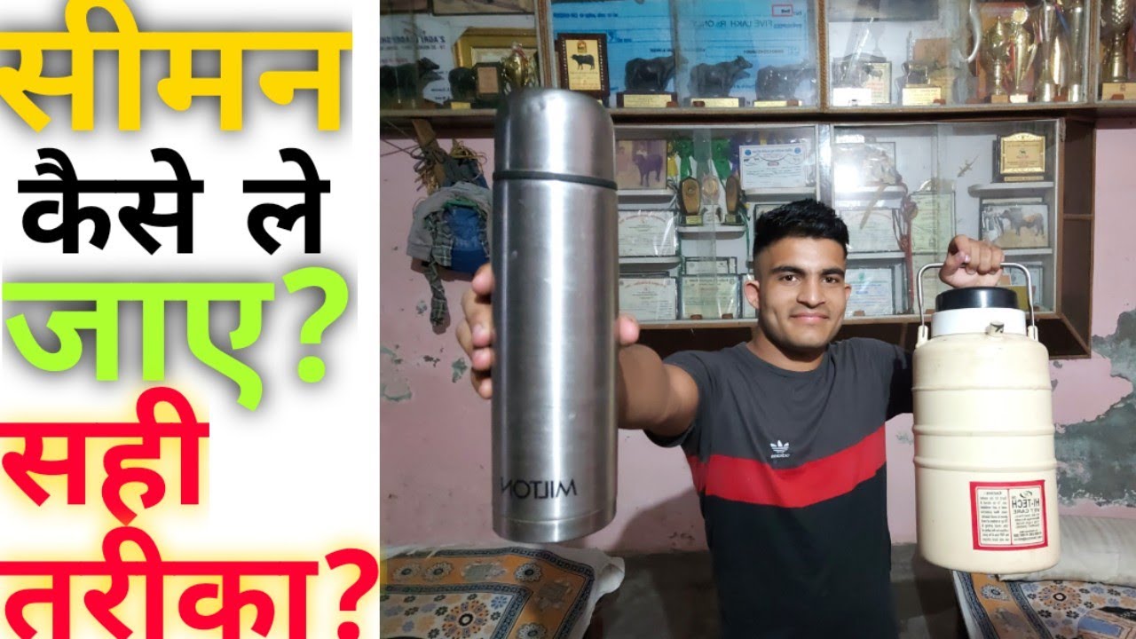 सीमन कैसे लेकर जाए??💎और वो भी बिल्कुल कम खर्च में 💎।##Vlog Simen Supply##