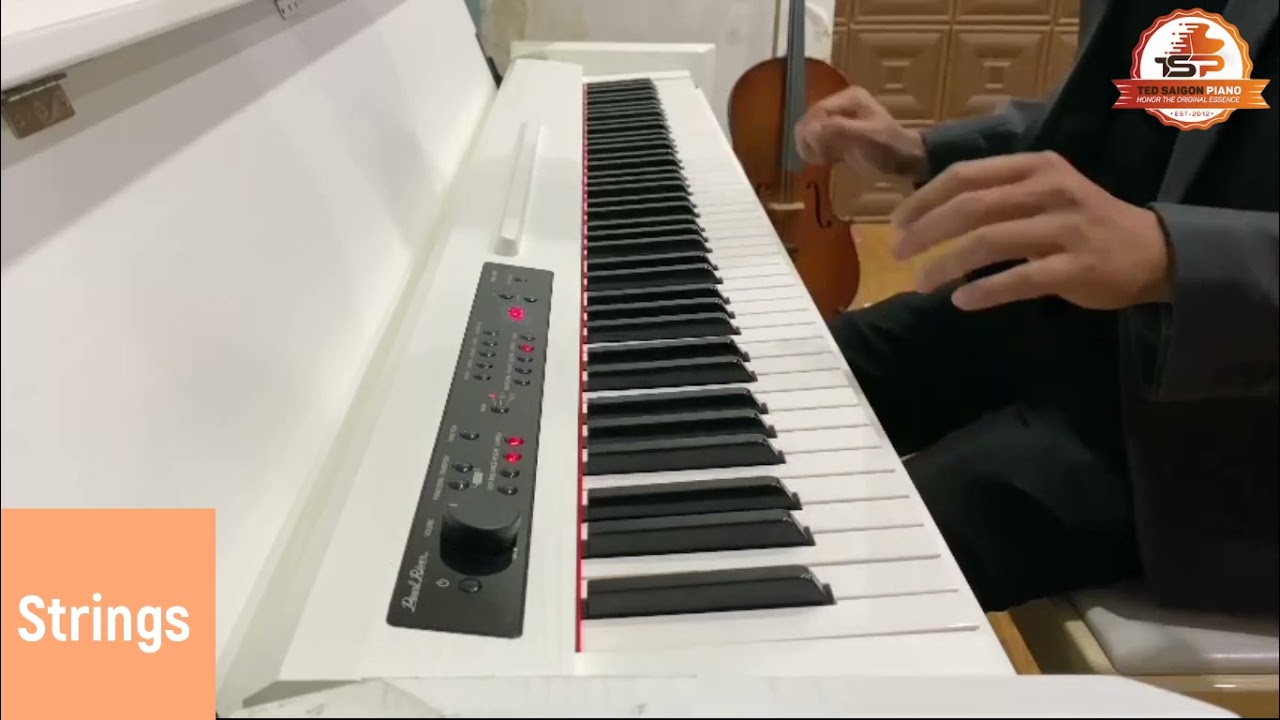 Review Piano điện Pearl River PRK300 - TED SAIGON PIANO